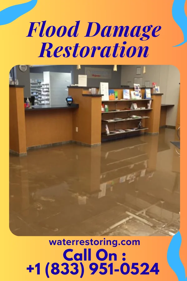 Flood Damage Restoration in Frankfort, MI