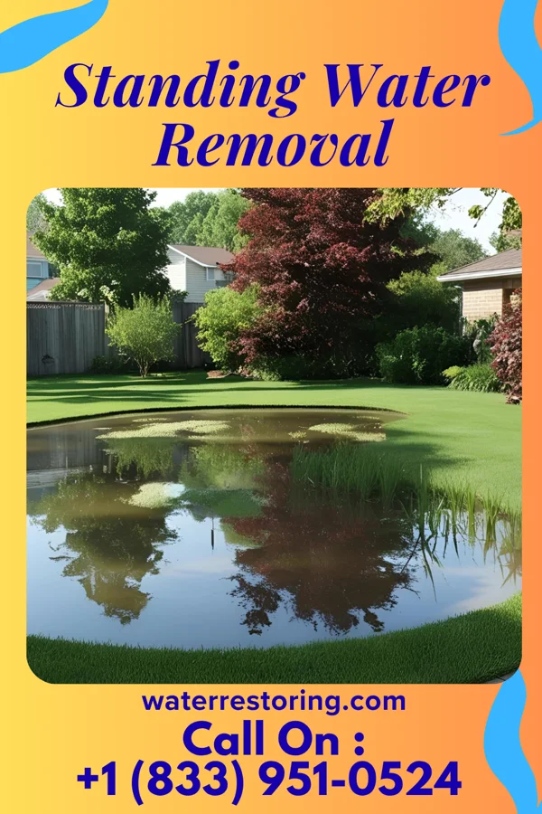 Standing Water Removal in Frankfort, MI